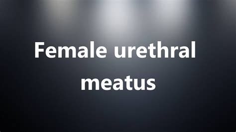 shemale urethra|Urethra Shemale Porn